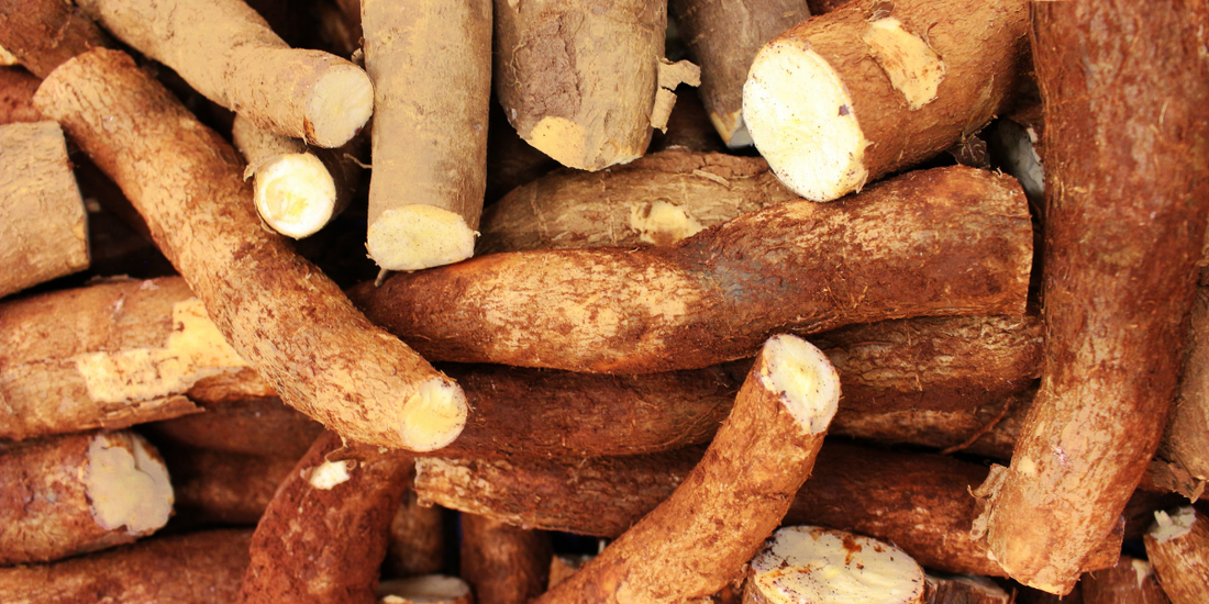 Maca Root Benefits: 10 Reasons This Superfood Belongs in Your Routine