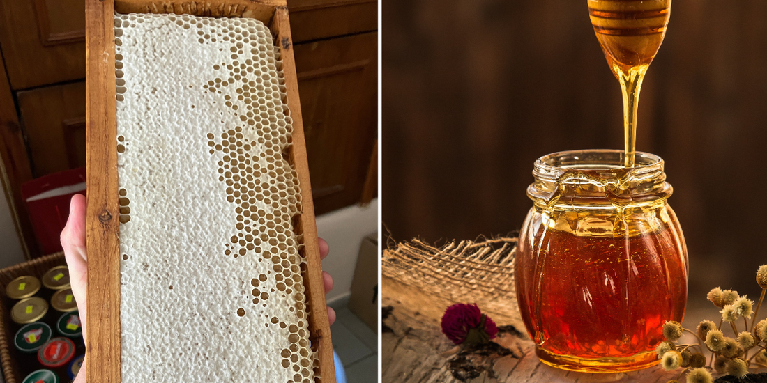 Raw Honey vs. Regular Honey