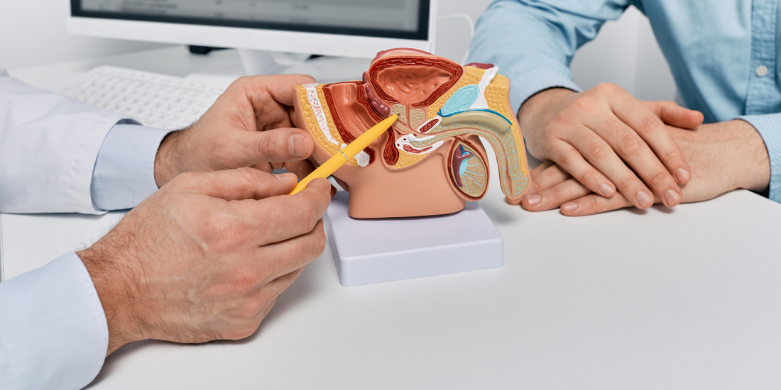 Prostate Impotence Problems: All You Need To Know