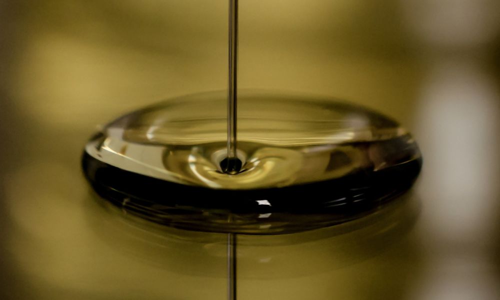 Does Olive Oil Increase Testosterone Level? Let's Find Out