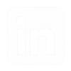 Social icon 3